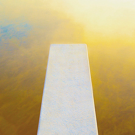 Dive In II 45.5 x 45.5