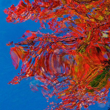 Lower Gallery 90” Wall B (cattycorner wall) Lake Paints Autumn  50" x 50"