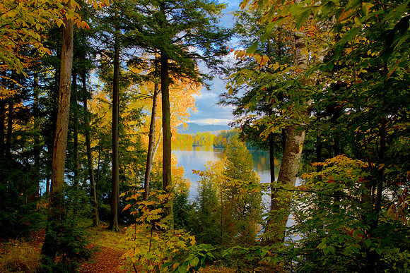 Lake Edge 4oh x 60w