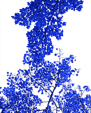 46