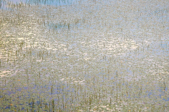 Monet in the Adirondacks I 44h x 64w