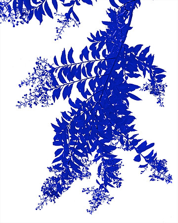 53