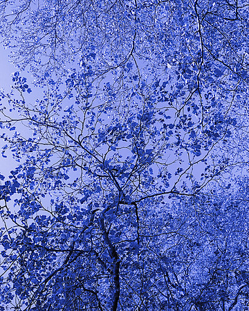 94