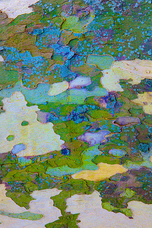 Tree Skin 40x60 7